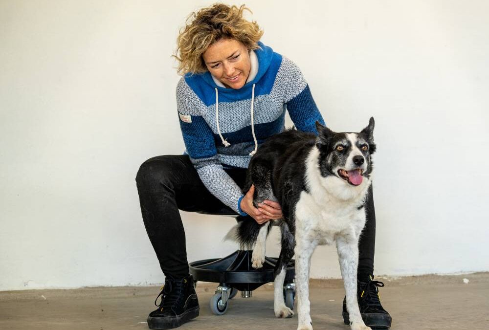 Gigt hos hunde