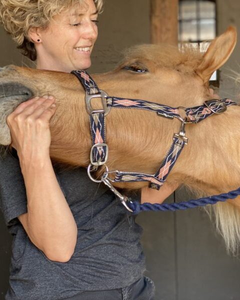 Uddannelse ved London College of Veterinary Osteopathy